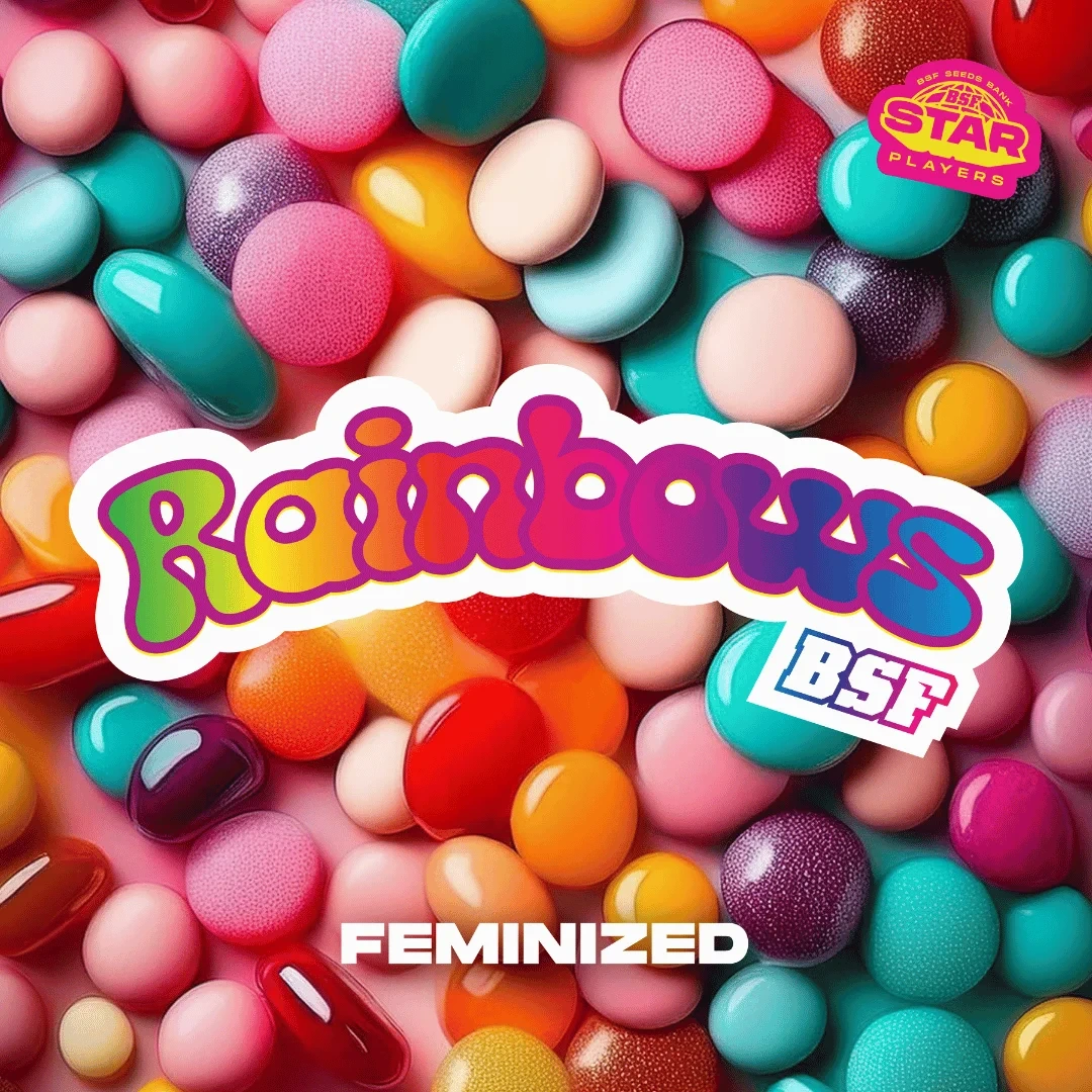 Rainbows - Imagem 3