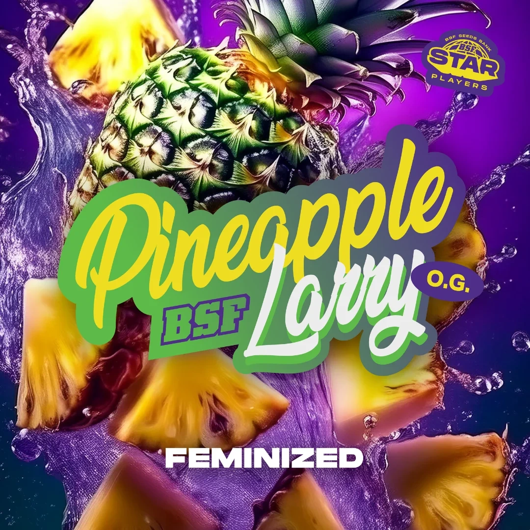Pineapple Larry OG - Imagem 5