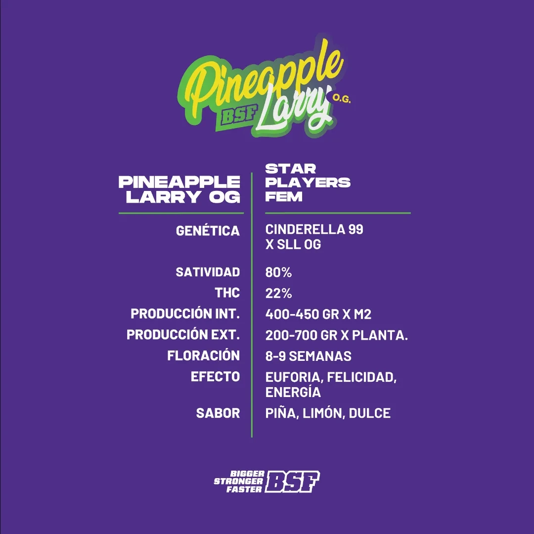 Pineapple Larry OG - Imagem 3