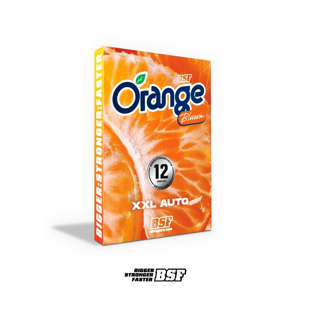 Orange Blossom XXL Auto - Imagem 4