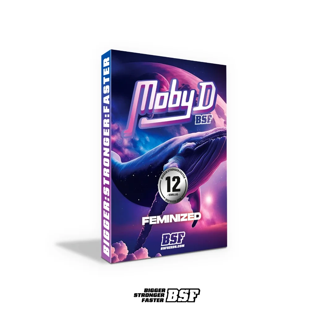 Moby-D - Imagem 4