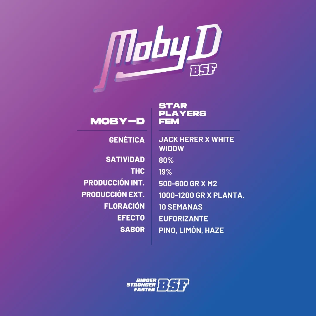 Moby-D - Imagem 3