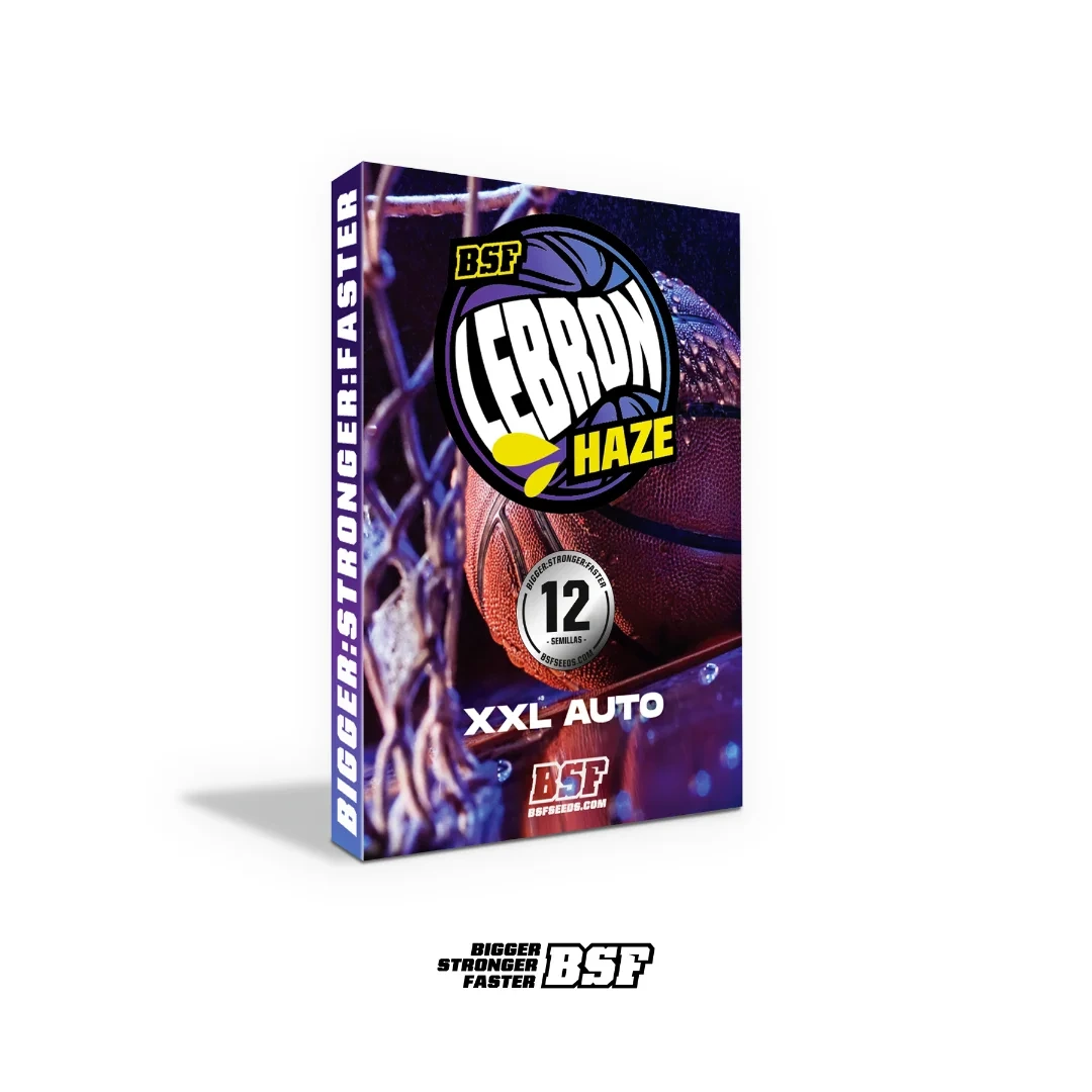 Lebron Haze Auto - Imagem 5