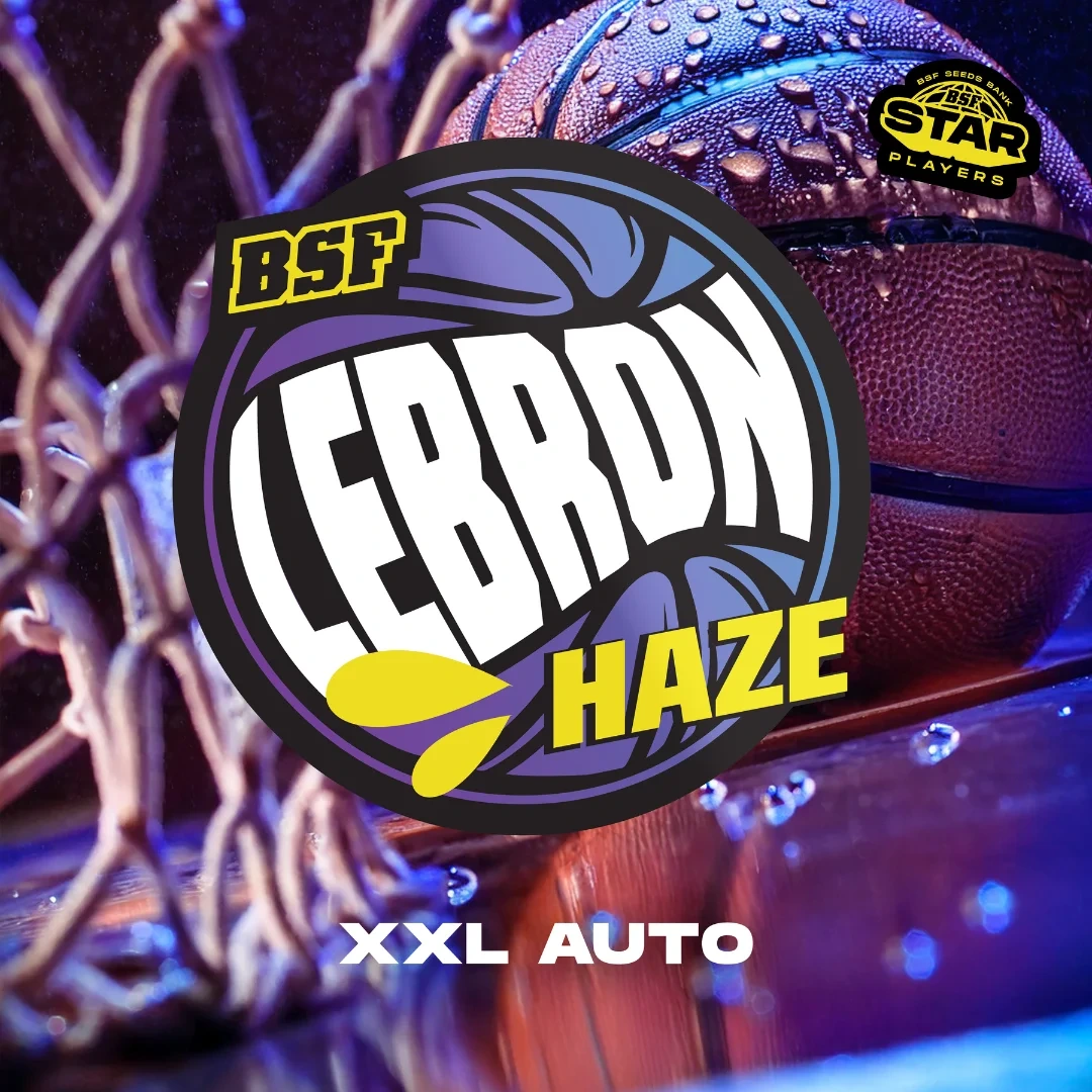Lebron Haze Auto - Imagem 3