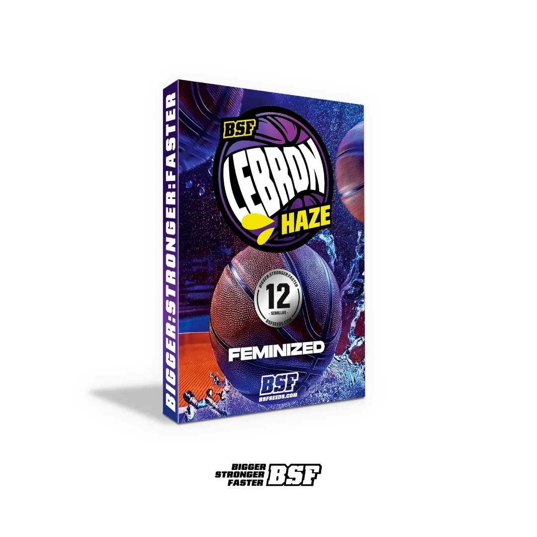 Lebron Haze - Imagem 5
