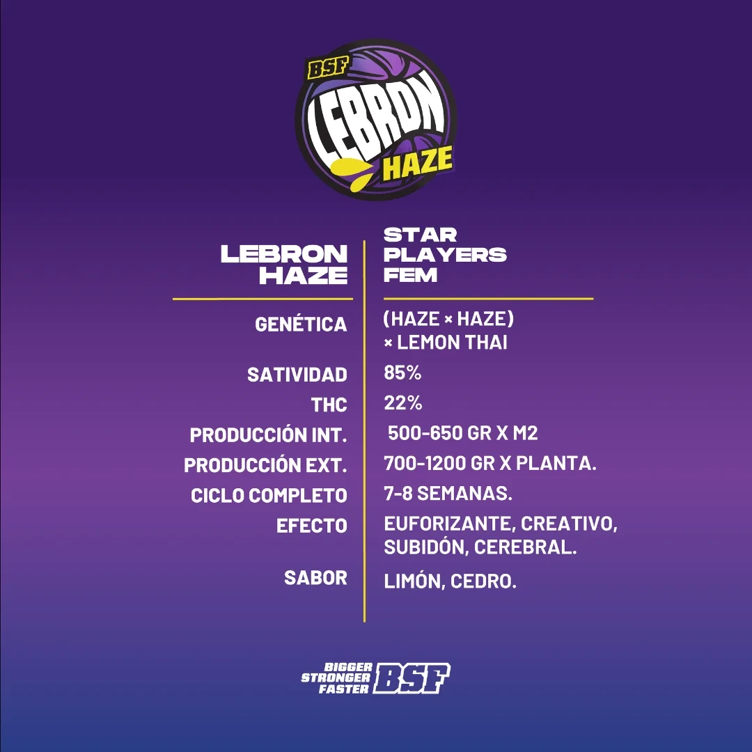Lebron Haze - Imagem 3