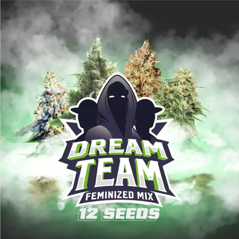 Dream Team Feminized Mix - Imagem 4