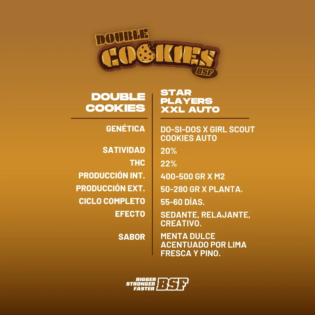 Double Cookies Auto - Imagem 4