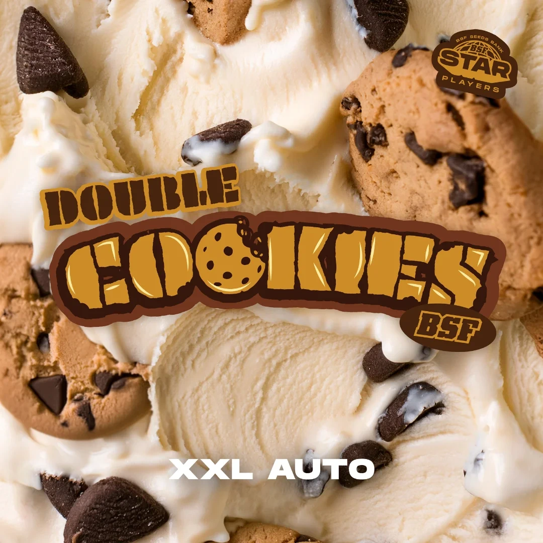 Double Cookies Auto - Imagem 3