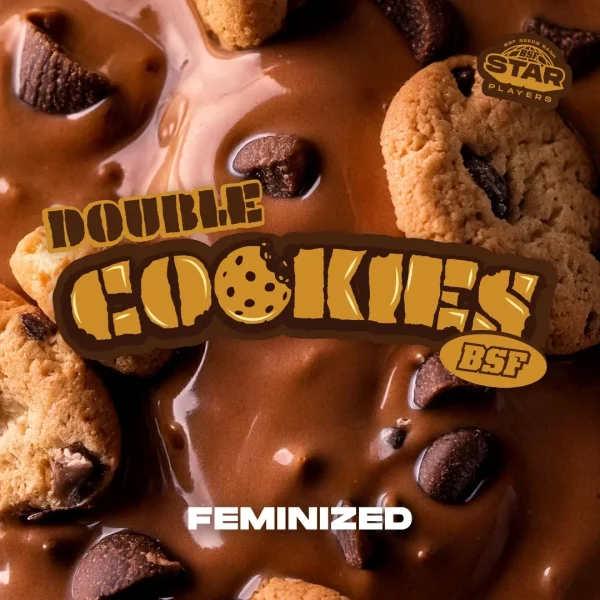 Double Cookies - Imagem 3
