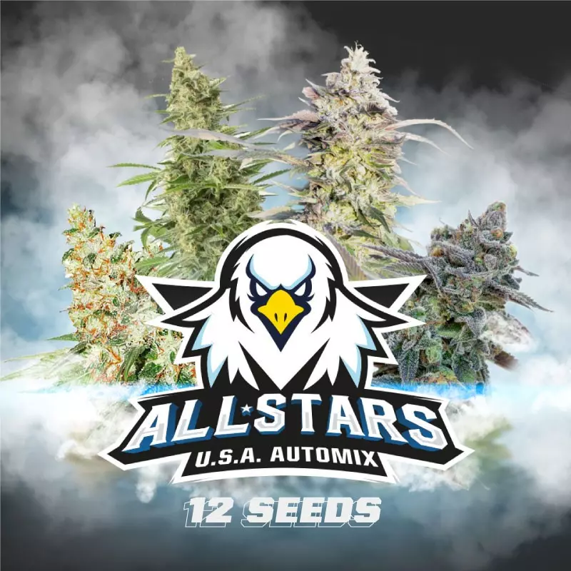 All Stars USA Automix - Imagem 4
