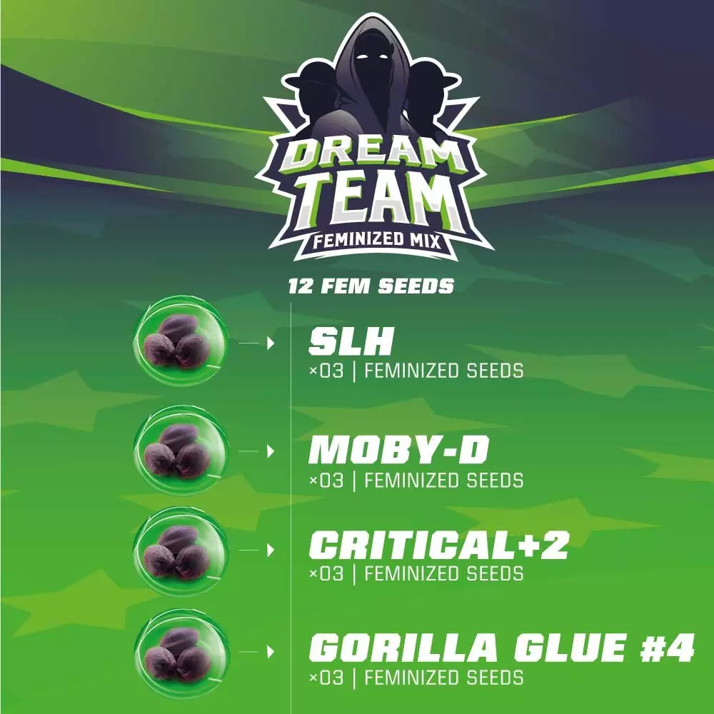 Dream Team Feminized Mix - Imagem 3