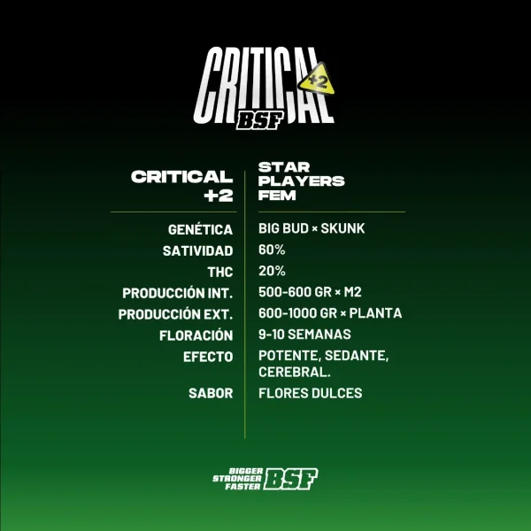 Critical +2 - Imagem 4