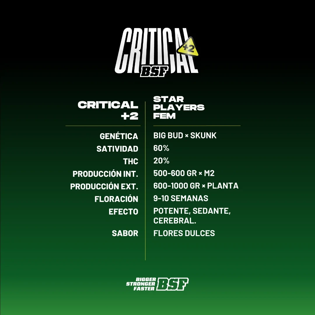 Critical +2 - Imagem 4
