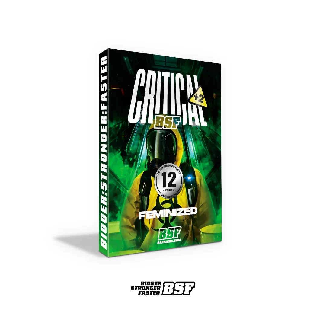 Critical +2 - Imagem 5