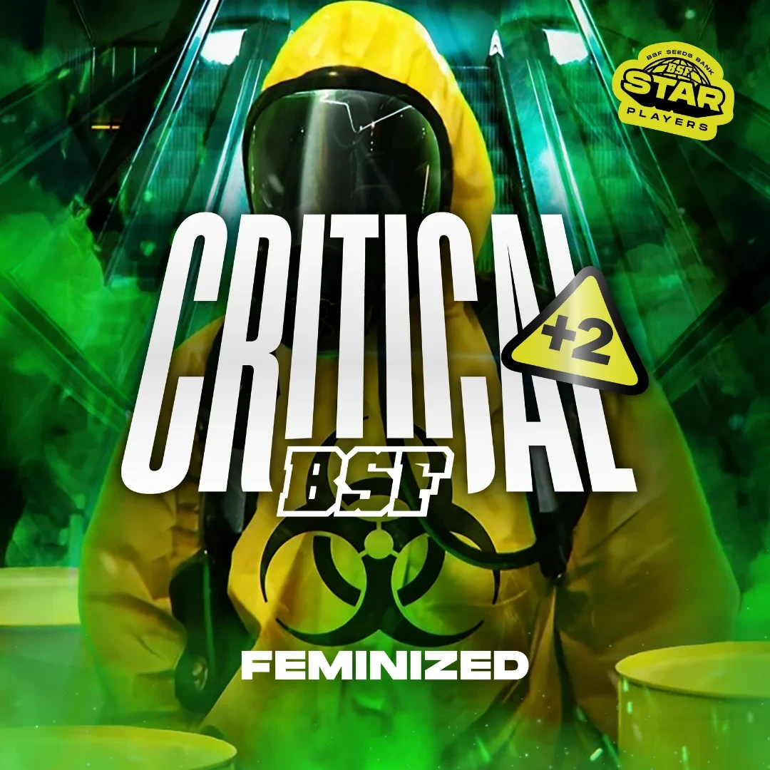 Critical +2 - Imagem 3