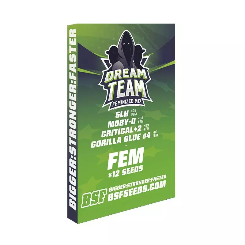 Dream Team Feminized Mix - Imagem 5
