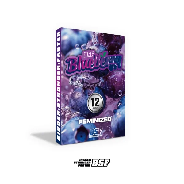 BlueBerry - BSF - Imagem 5