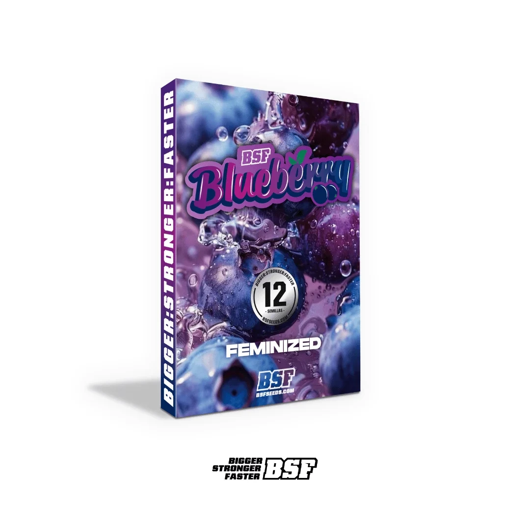 BlueBerry - BSF - Imagem 5