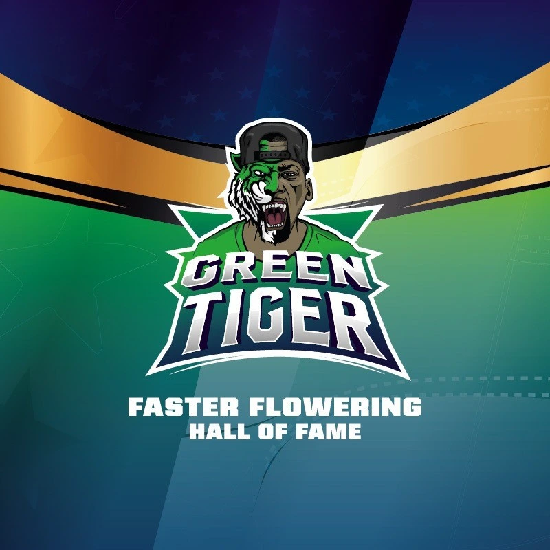 Green Tiger Faster Version - Imagem 4