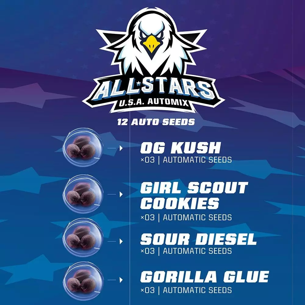 All Stars USA Automix - Imagem 3