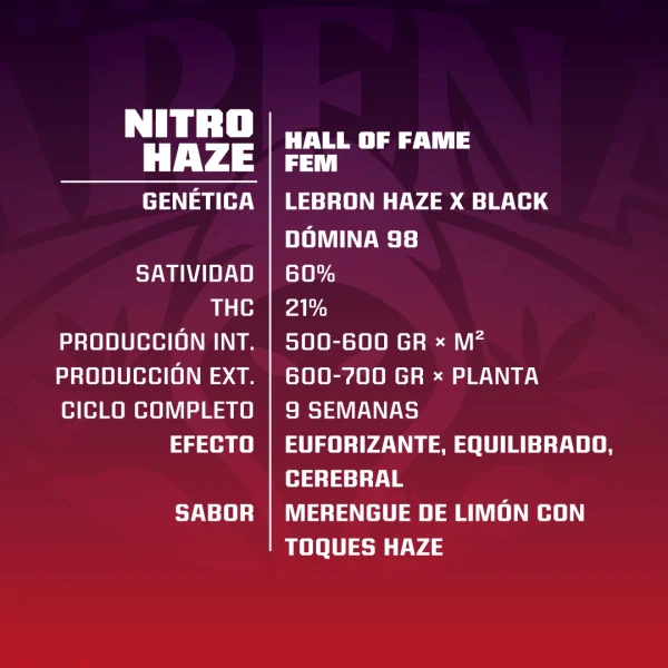 Nitro Haze - Imagem 3