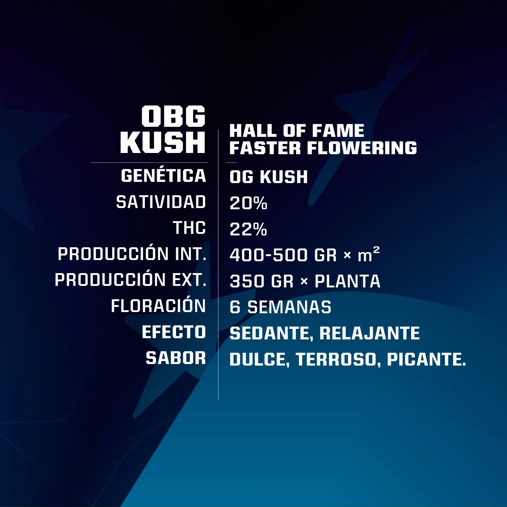 OBG Kush Faster Version - Imagem 3