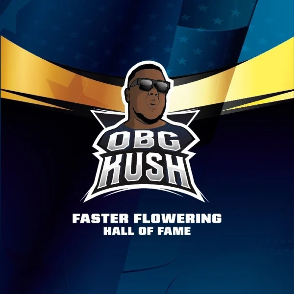OBG Kush Faster Version - Imagem 4