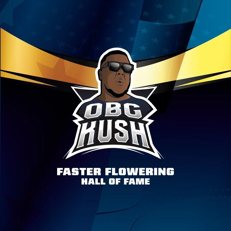 OBG Kush Faster Version - Imagem 4