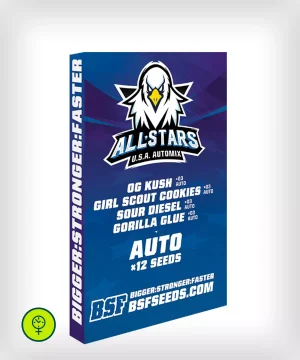 All Stars USA Automix