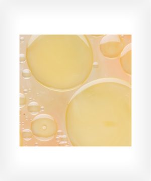 Citral Flo Bx1 - folder