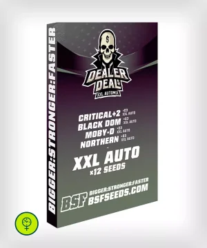 Dealer Deal XXL Automix
