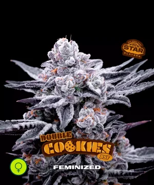 Double Cookies
