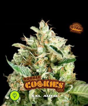 Double Cookies Auto