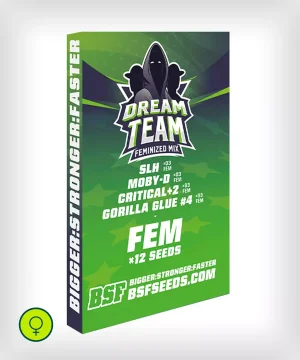 Dream Team Feminized Mix