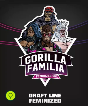 Gorilla Familia Feminized Mix