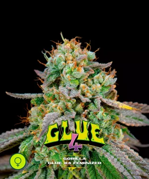 Gorilla Glue #4
