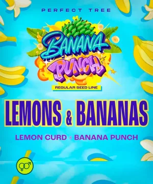 Lemons & Bananas