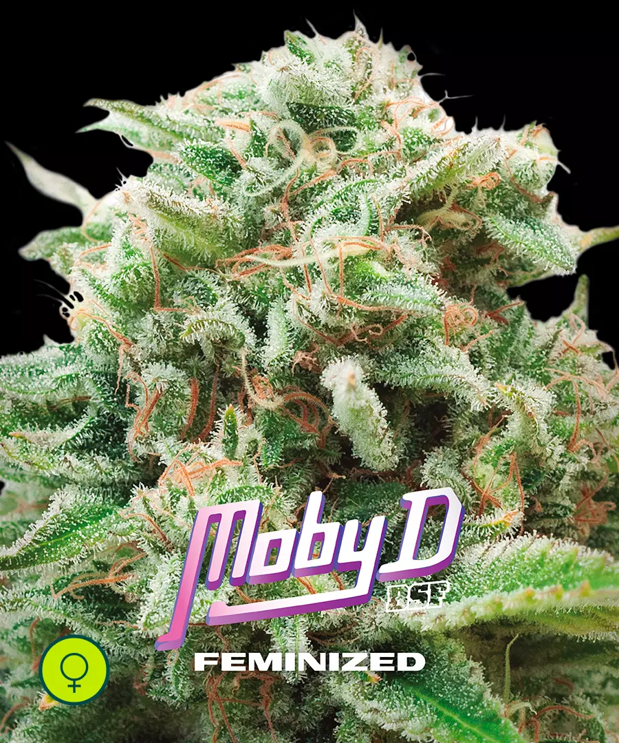 Moby-D