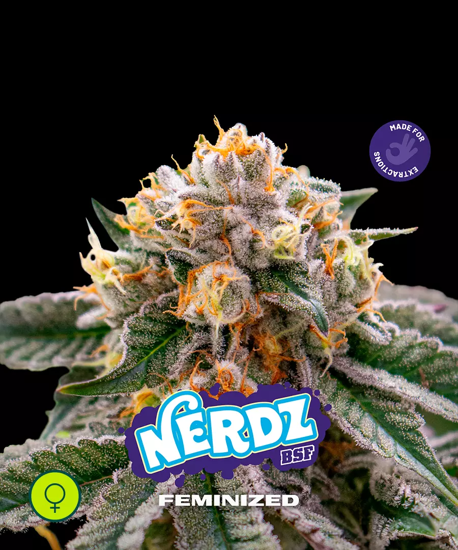 Nerdz