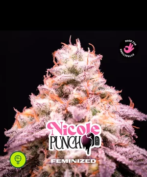 Nicole Punch