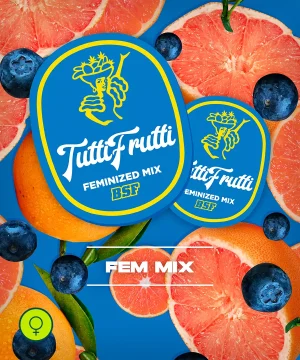 Tutti Frutti Feminized Mix
