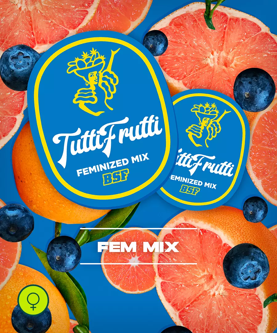 Tutti Frutti Feminized Mix