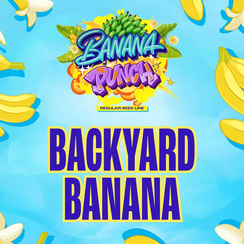 Backyard Banana - Imagem 5