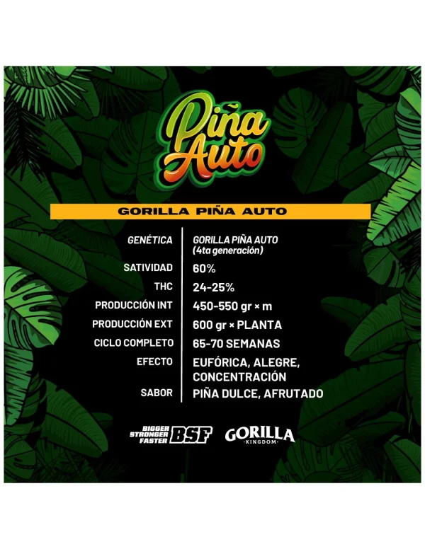 Gorilla Piña Auto - Imagem 4