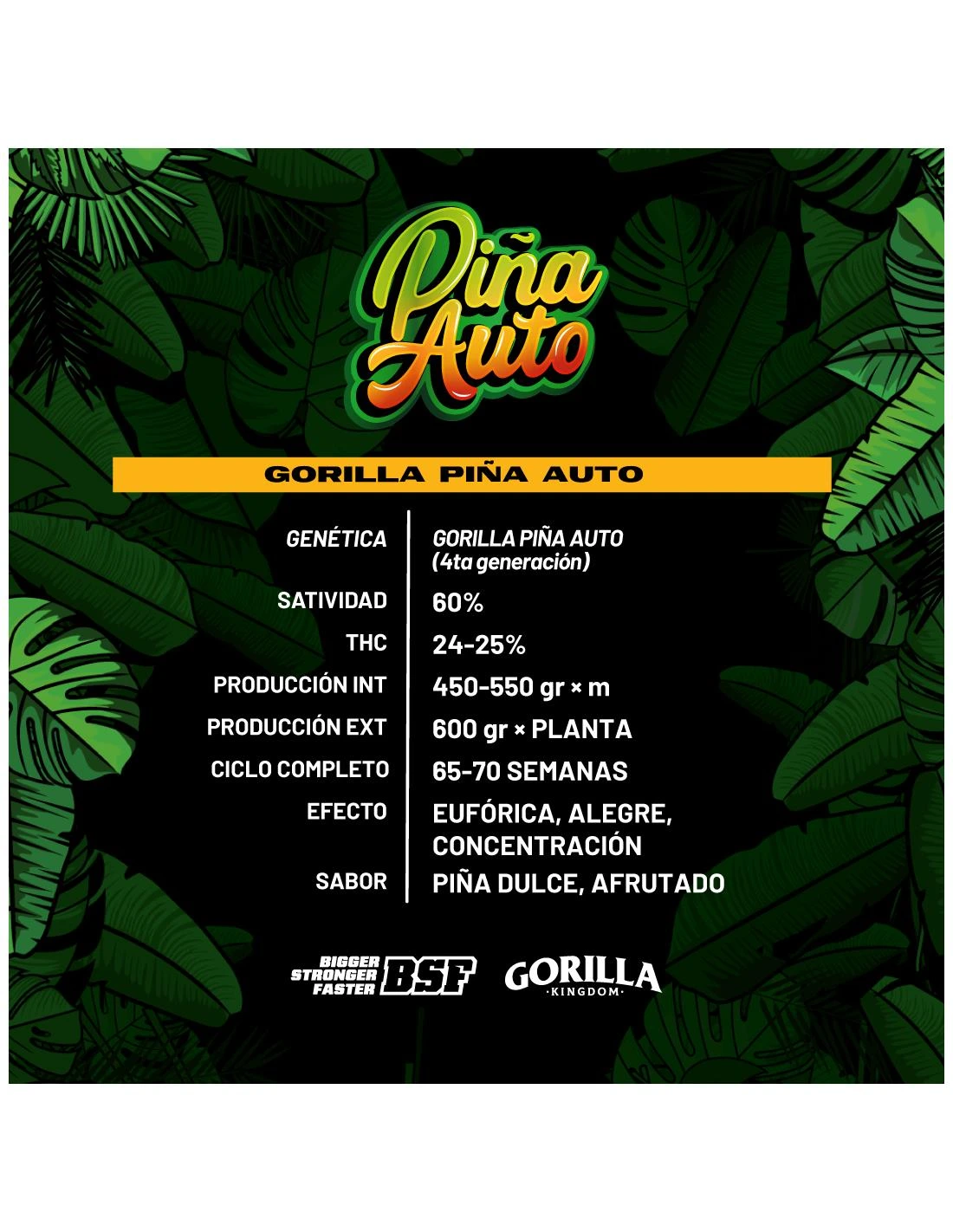 Gorilla Piña Auto - Imagem 4
