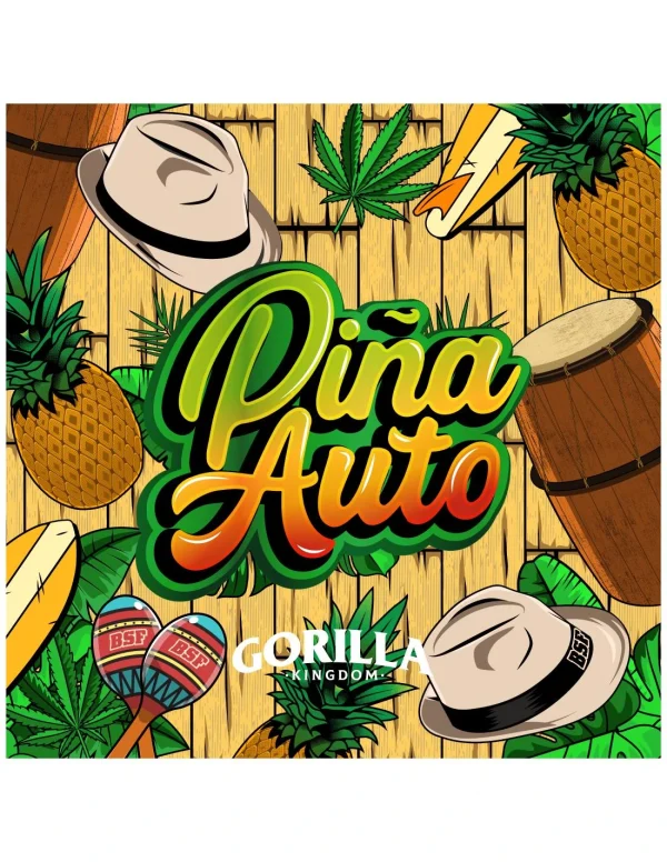 Gorilla Piña Auto - Imagem 3