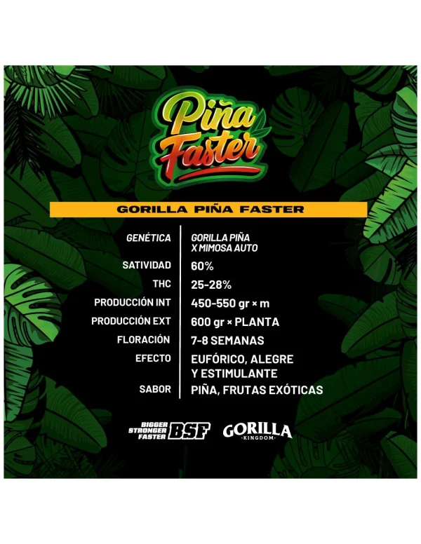 Gorilla Piña Faster Version - Imagem 4