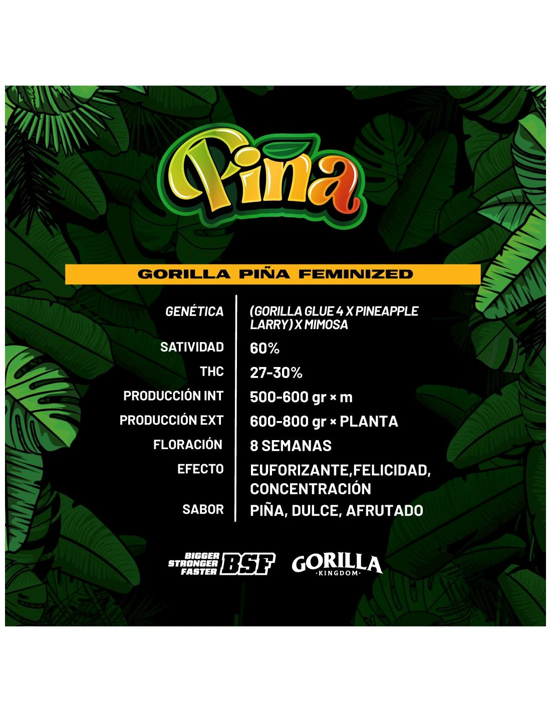 Gorilla Piña - Imagem 4