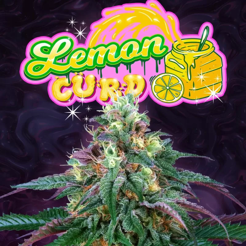 Lemon Curd - Imagem 3